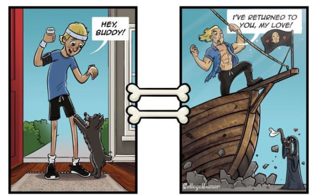 Die Welt aus Hundesicht