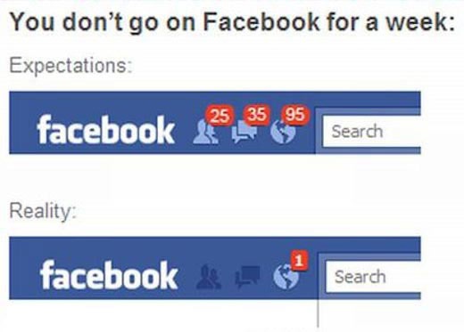 Erwartung vs. Realität