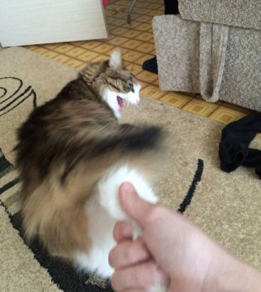 Folge mir: Erwartung vs Realität