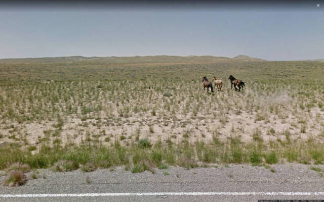 Google Street Views