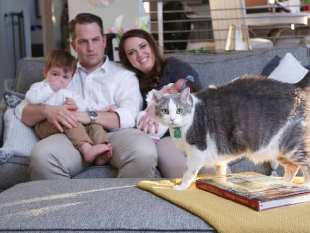 Katzen - Photobomben