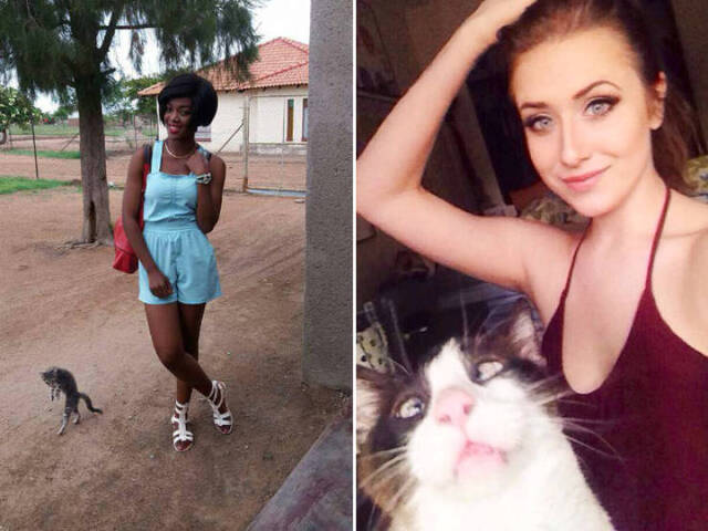 Katzen - Photobomben