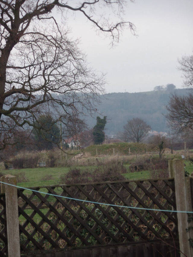 Katzen, überall Katzen!