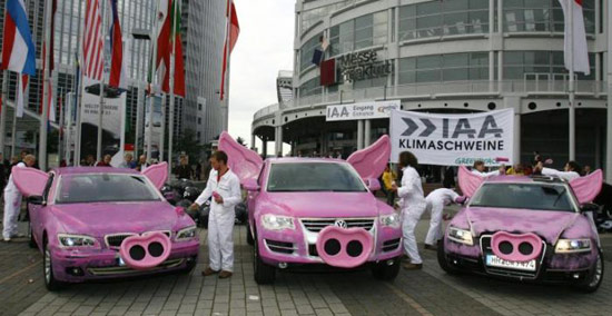Klimaschweine