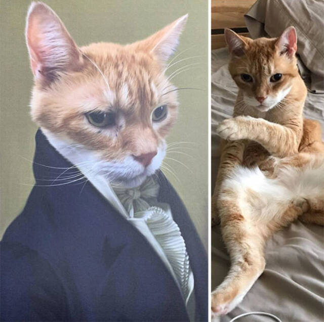 majestätische Tierportraits