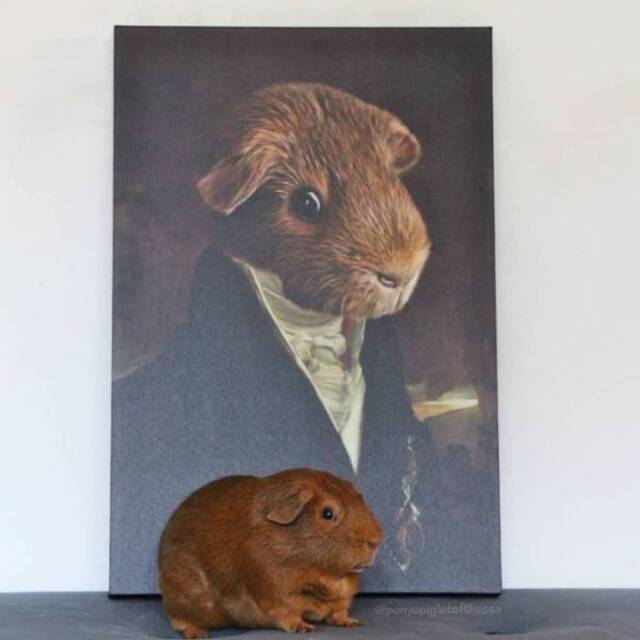 majestätische Tierportraits