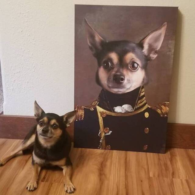 majestätische Tierportraits