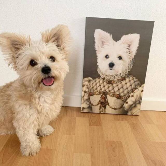 majestätische Tierportraits