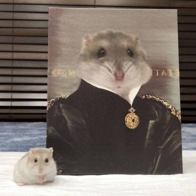 majestätische Tierportraits