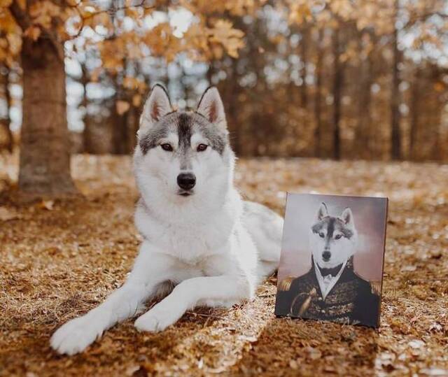 majestätische Tierportraits