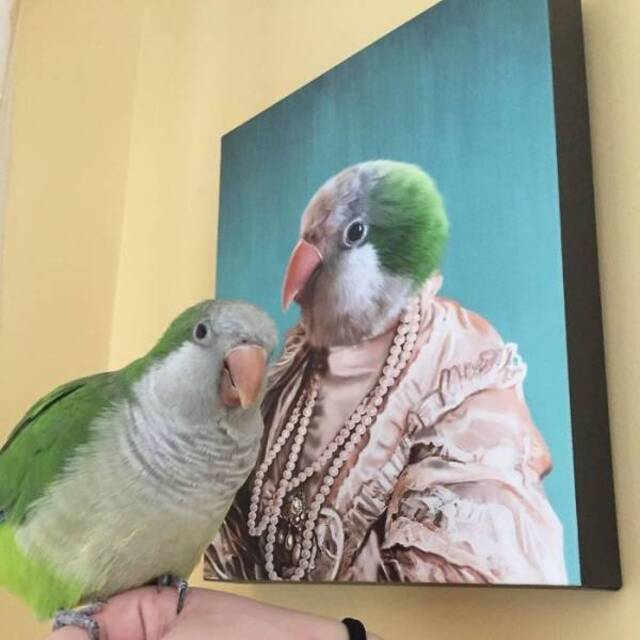 majestätische Tierportraits