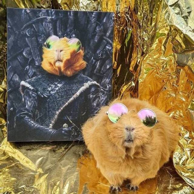 majestätische Tierportraits