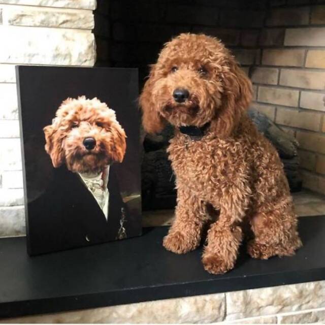 majestätische Tierportraits