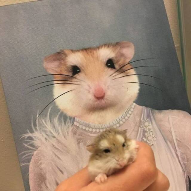 majestätische Tierportraits