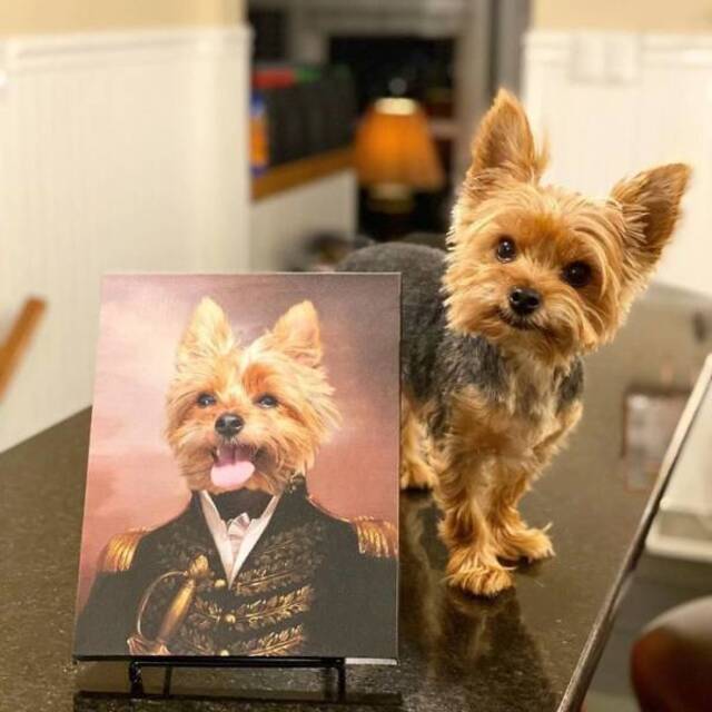 majestätische Tierportraits