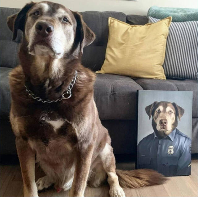majestätische Tierportraits