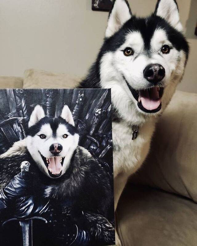 majestätische Tierportraits