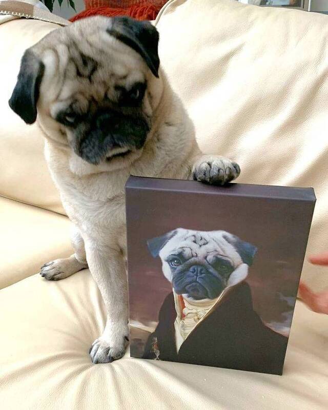 majestätische Tierportraits