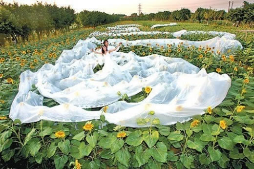 Komische Hochzeitskleider