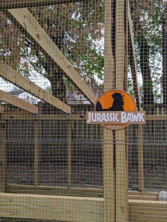 Kreative Hühnerställe