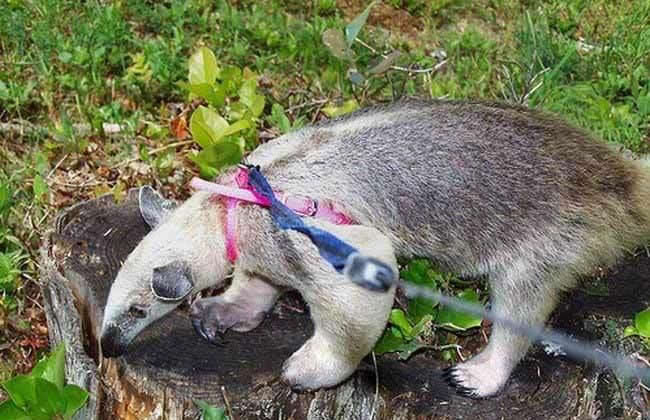 mein neuer Mitbewohner