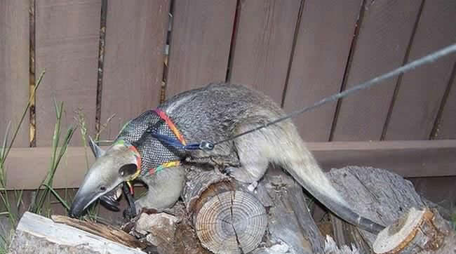 mein neuer Mitbewohner