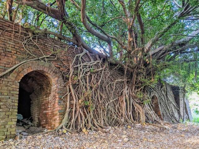 Natur holt sich irgendwann alles zurück