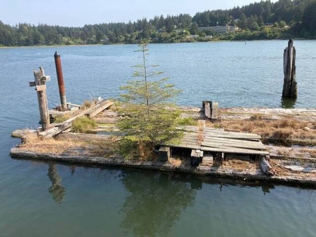 Natur holt sich irgendwann alles zurück