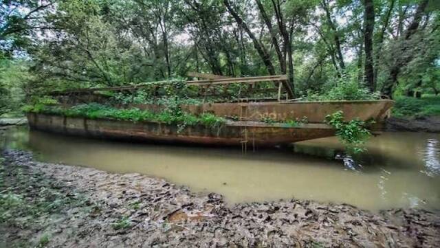 Natur holt sich irgendwann alles zurück