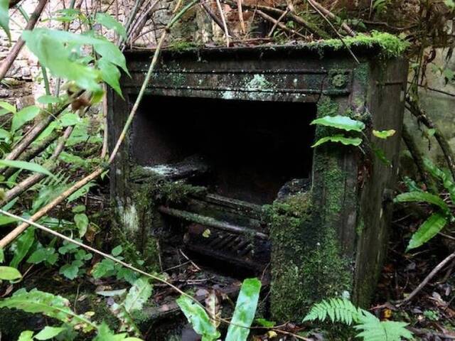 Natur holt sich irgendwann alles zurück