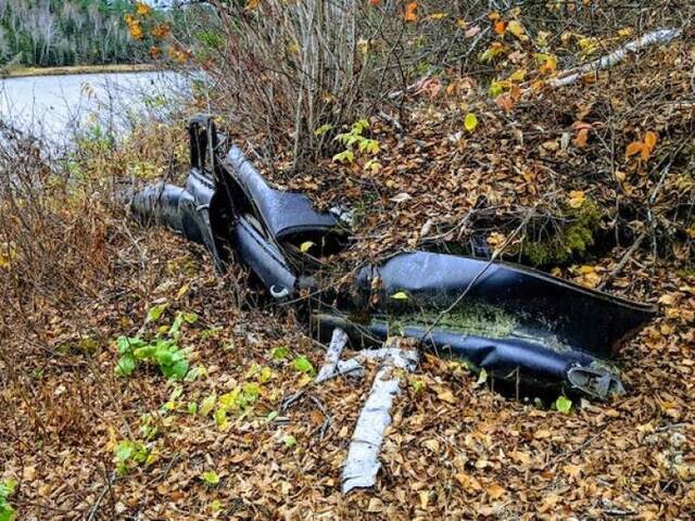 Natur holt sich irgendwann alles zurück