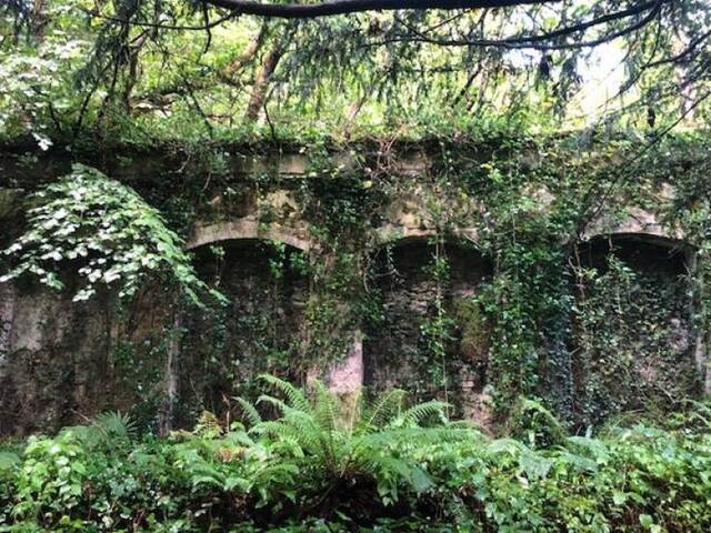 Natur holt sich irgendwann alles zurück