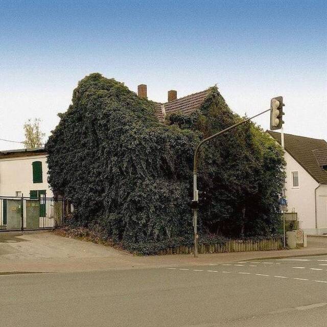 Natur holt sich irgendwann alles zurück