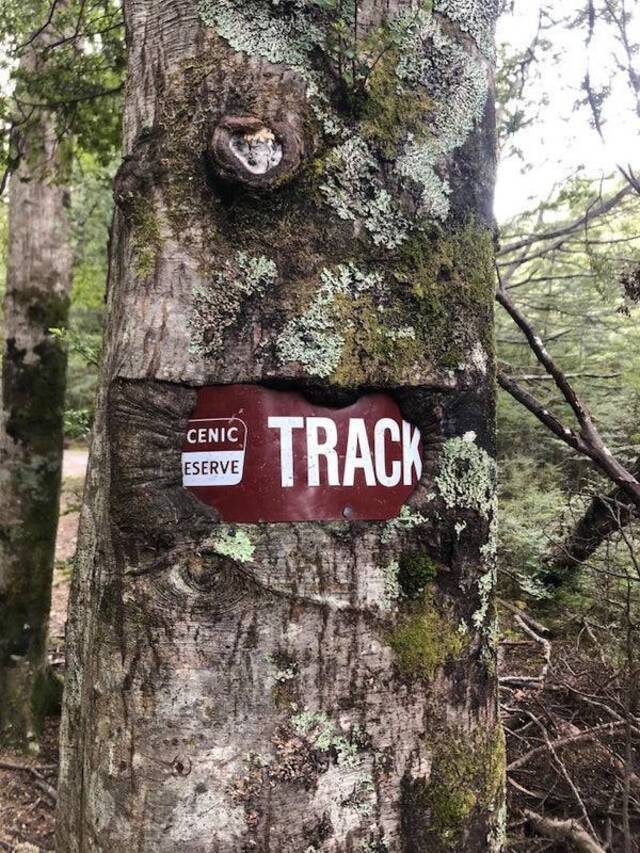 Natur holt sich irgendwann alles zurück