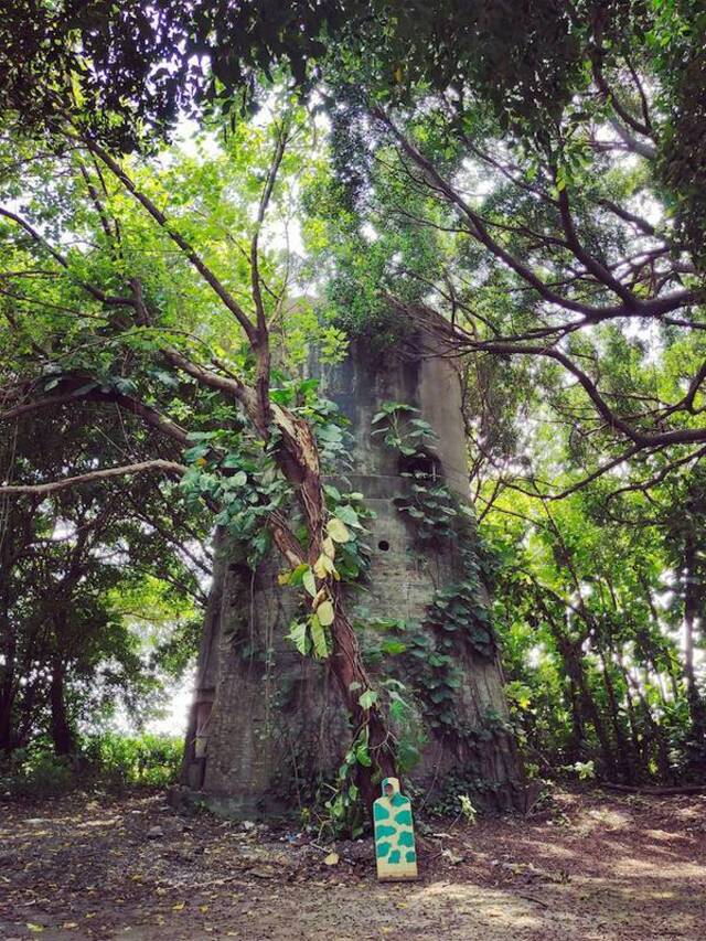 Natur holt sich irgendwann alles zurück