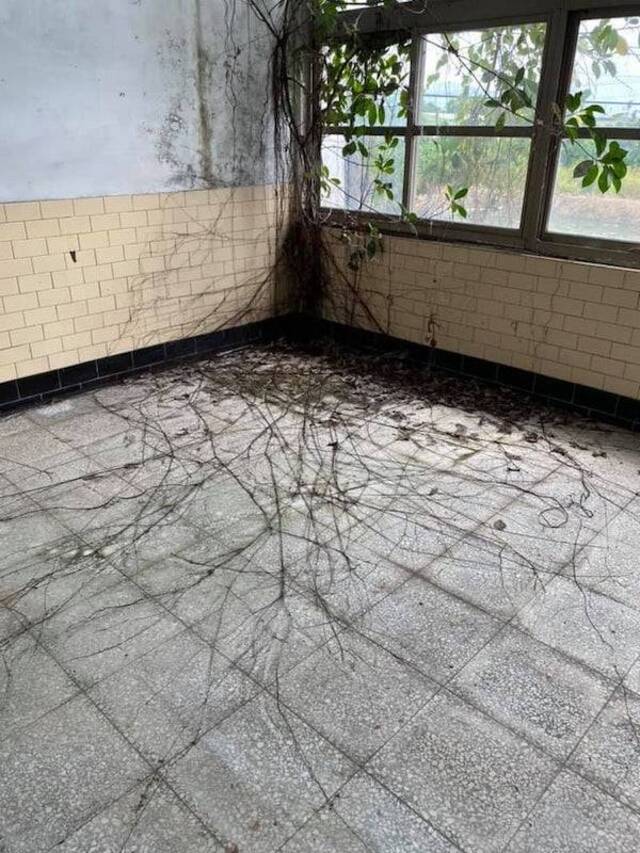 Natur holt sich irgendwann alles zurück