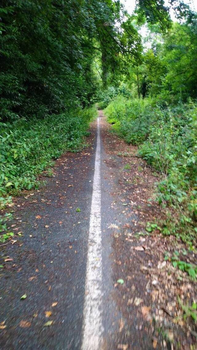 Natur holt sich irgendwann alles zurück