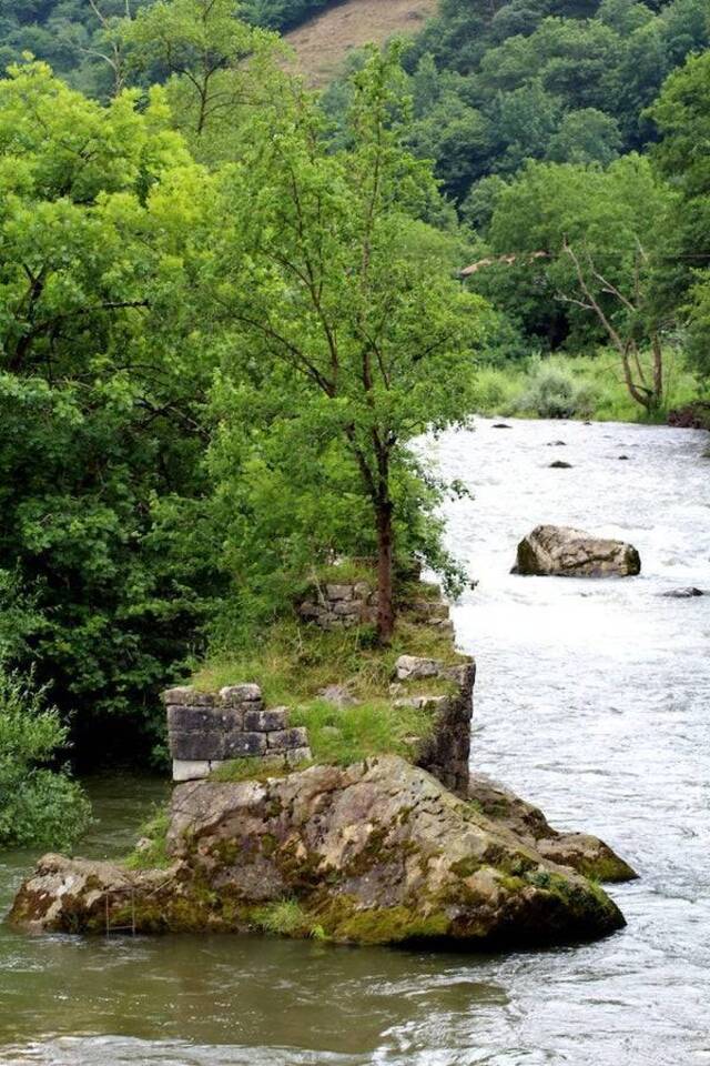 Natur holt sich irgendwann alles zurück