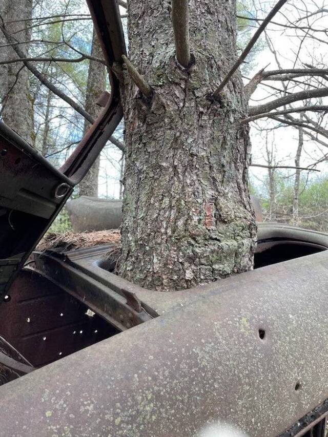 Natur holt sich irgendwann alles zurück