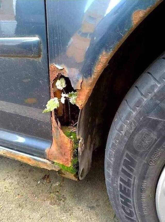 Natur holt sich irgendwann alles zurück