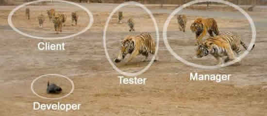 b:a - picdump 19.01.07