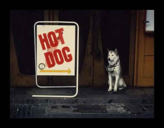 b:a - picdump 19.01.07