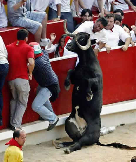 b:a - picdump 19.01.07