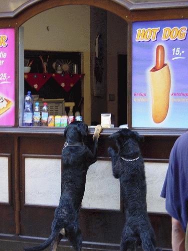 b:a - picdump 19.01.07