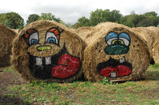 b:a - picdump 19.01.07