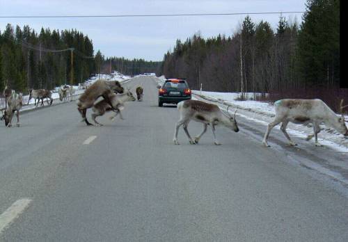 b:a - picdump 29.05.07