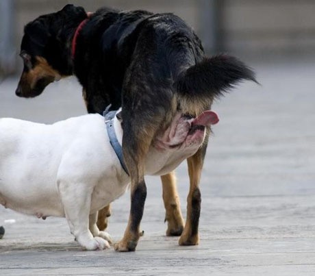 b:a - picdump 29.05.07