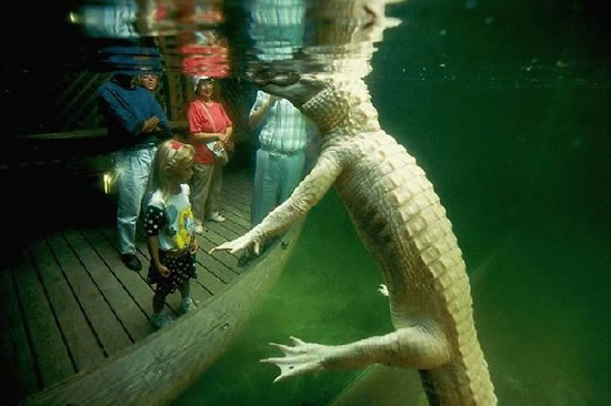 b:a - picdump 29.05.07