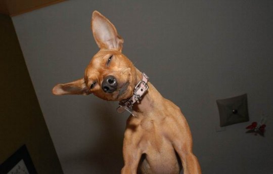 b:a - picdump 29.05.07