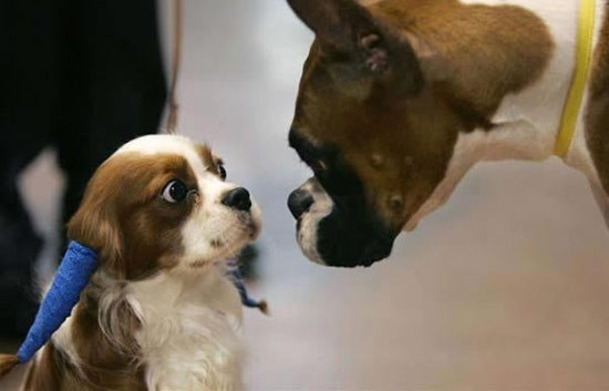 b:a - picdump 25.07.07